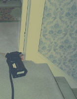 The Main Staircase in 2002 The Main Staircase in 2002